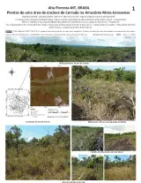 1019_brazil_plants_of_a_cerrado_island_in_mato_grosso_en.pdf
