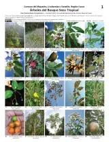 1177_peru_trees_of_tropical_dry_forest.pdf 
