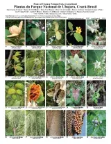  1192_brazil_plants_of_ubajara_national_park.pdf 