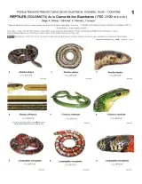1234_colombia_reptiles_of_cueva_de_los_guacharos_park.pdf