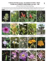 1262_brazil_plants_acu_national_forest.pdf 