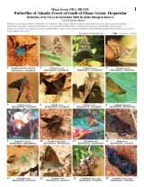 1286_brazil_hesperidae_of_the_serra_de_santa_rita_mitzi_brandao_biological_reserve.pdf