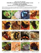1287_brazil_lycanidae_nymphalidae_of_santa_rita_biological_reserve.pdf 