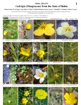1352_brazil_ludwigia_onagraceae_from_bahia_state.pdf 