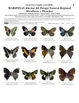 1421_colombia_butterflies_of_miraflores_picachos_park.pdf 