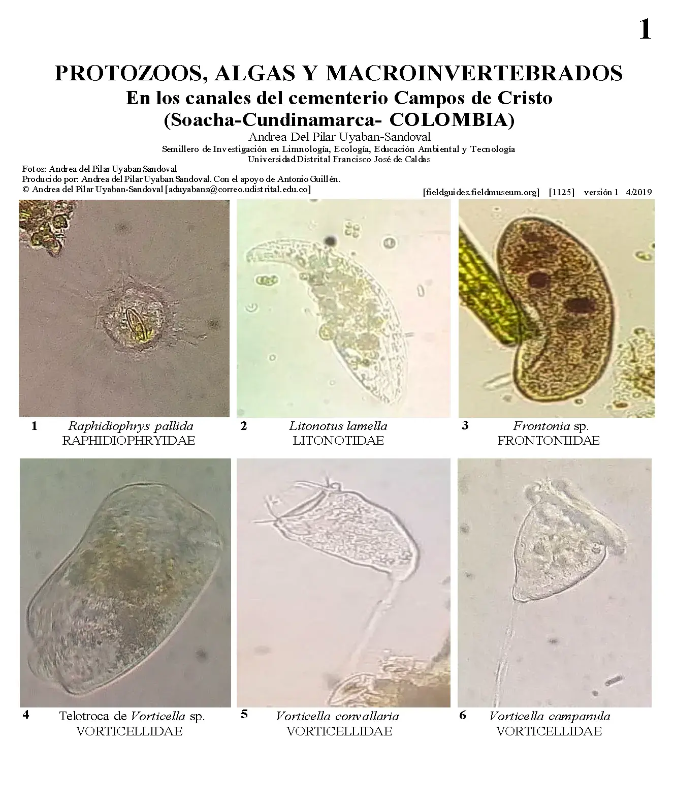 1125_colombia_protozoa_algae_and_macroinvertebrates_of_the_campos_de_cristo_cemetery.pdf 