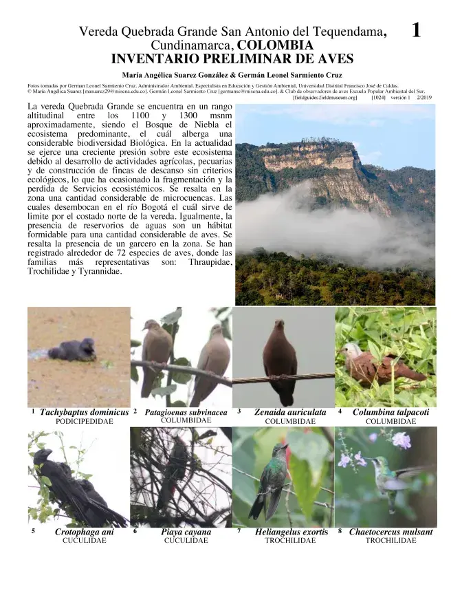 1024_colombia_birds_of_san_antonio_de_tequendama.pdf 