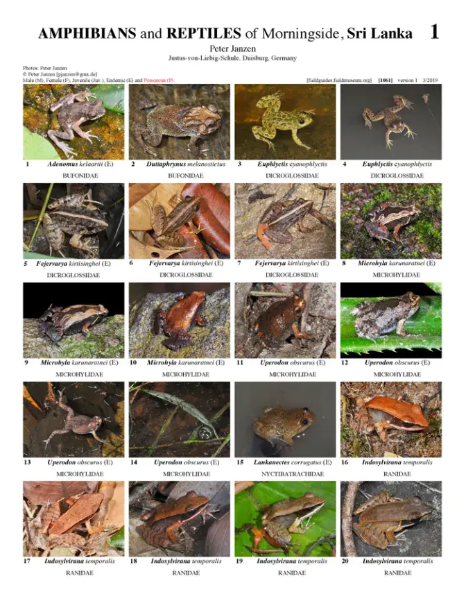  1061_sri_lanka_amphibians_and_reptiles_of_morningside.pdf