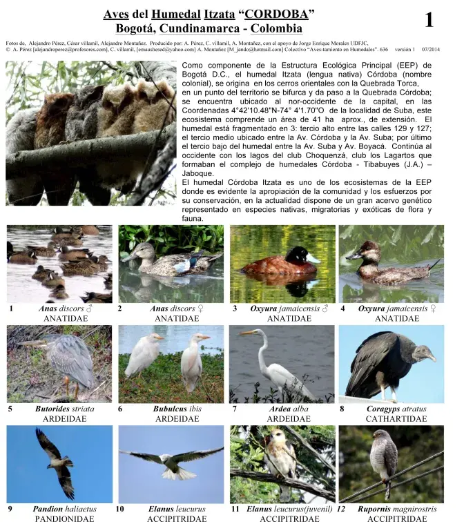 Cundinamarca -- Humedal Itzata-Aves