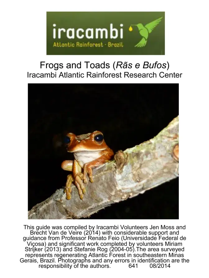 Minas Gerais -- Frogs & Toads of Iracambi