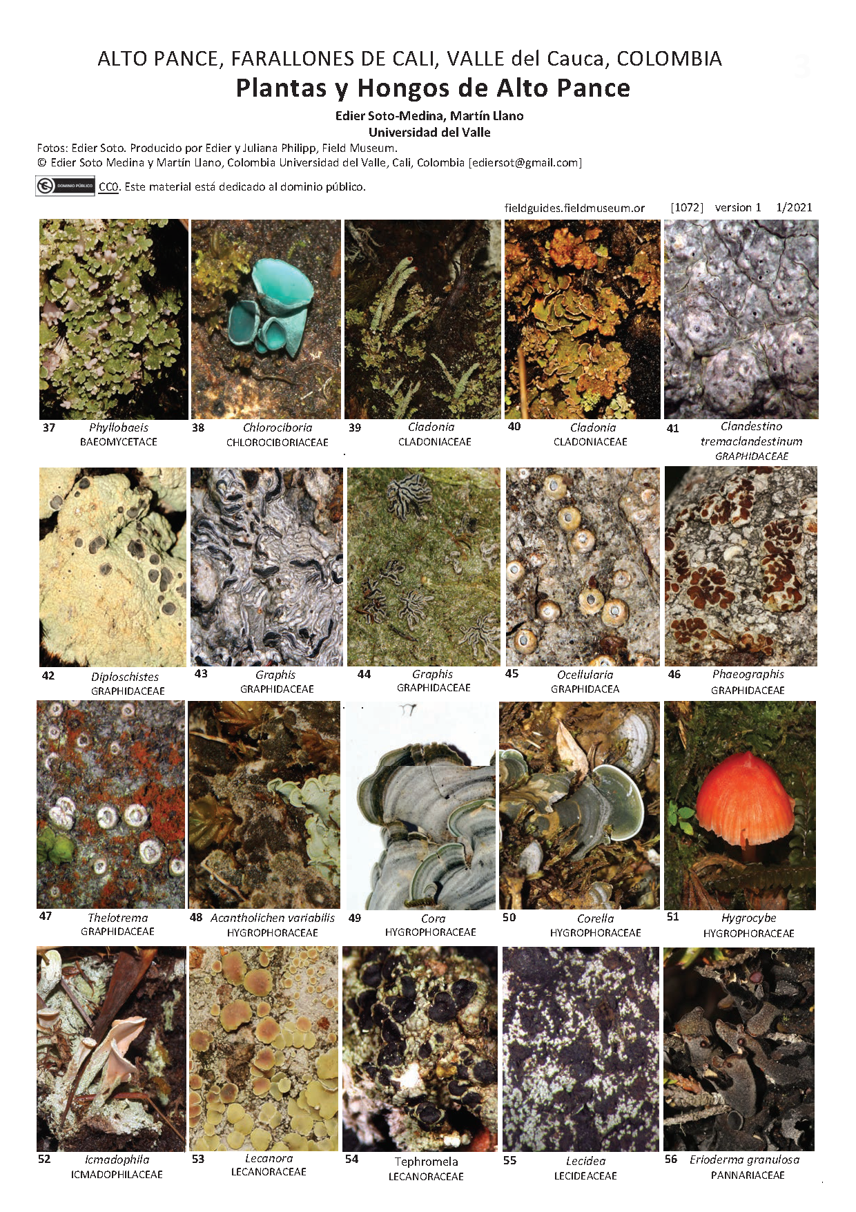  1072_colombia_plants_and_fungi_of_alto_pance.pdf