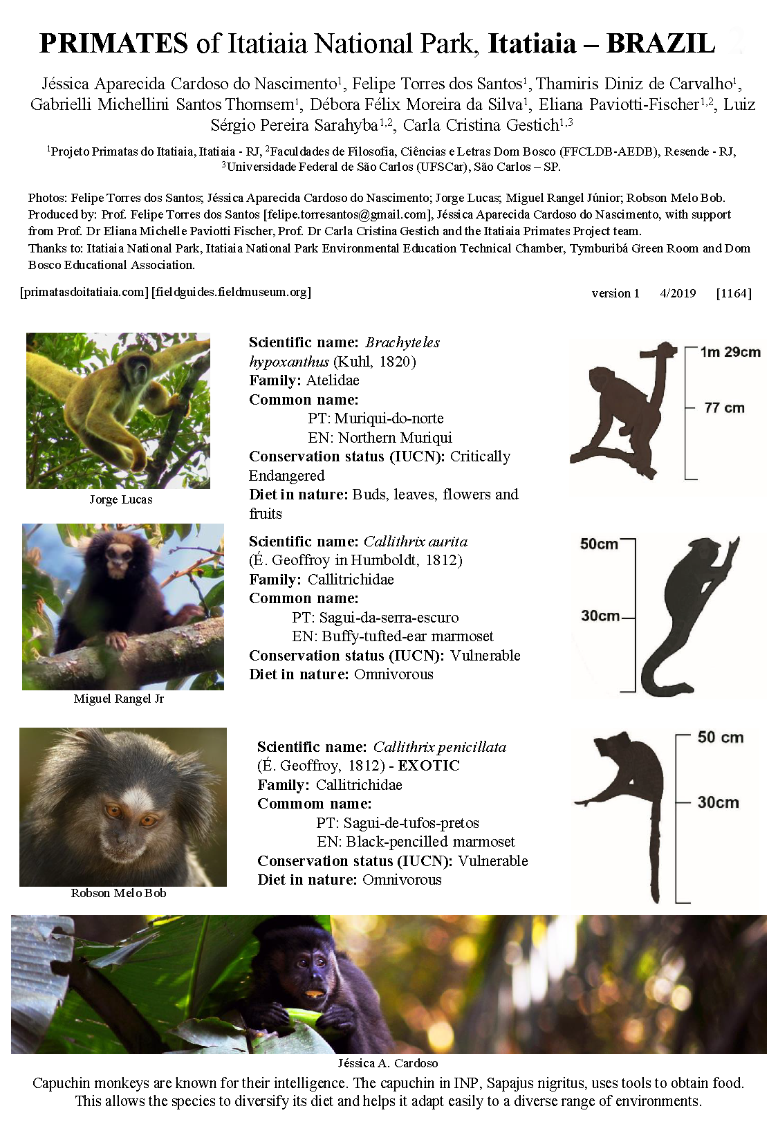 1164_brazil_primates_of_itatiaia_national_park.pdf