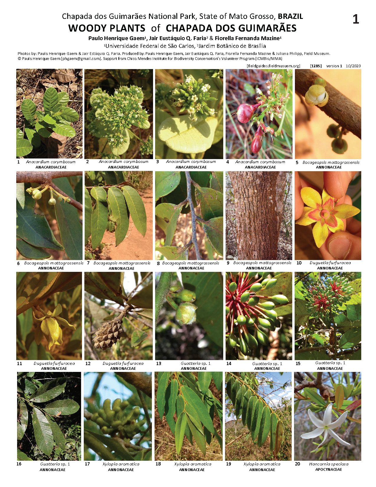 1285_brazil_woody_plants_of_chapada_guimaraes.pdf 