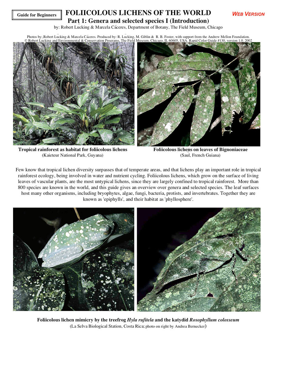 Foliicolous Lichens of the World