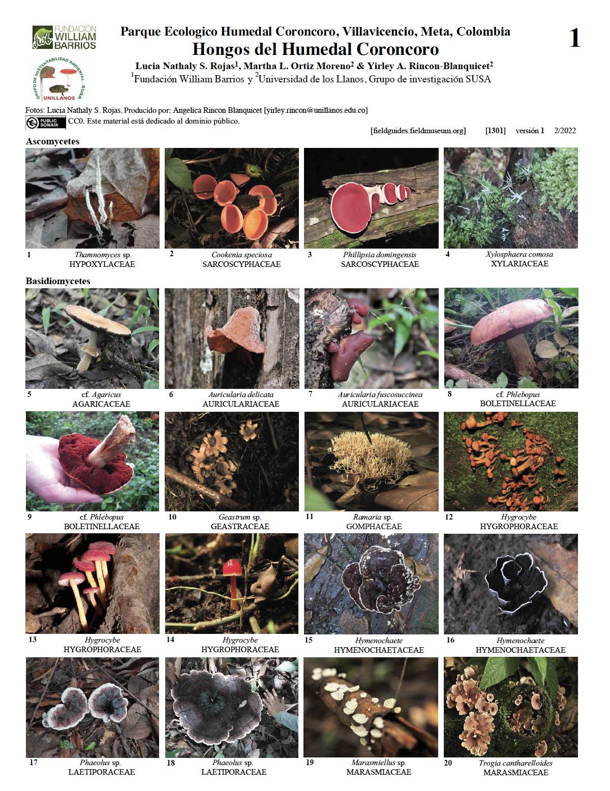 1301_colombia_fungi_of_coronco_park.pdf 