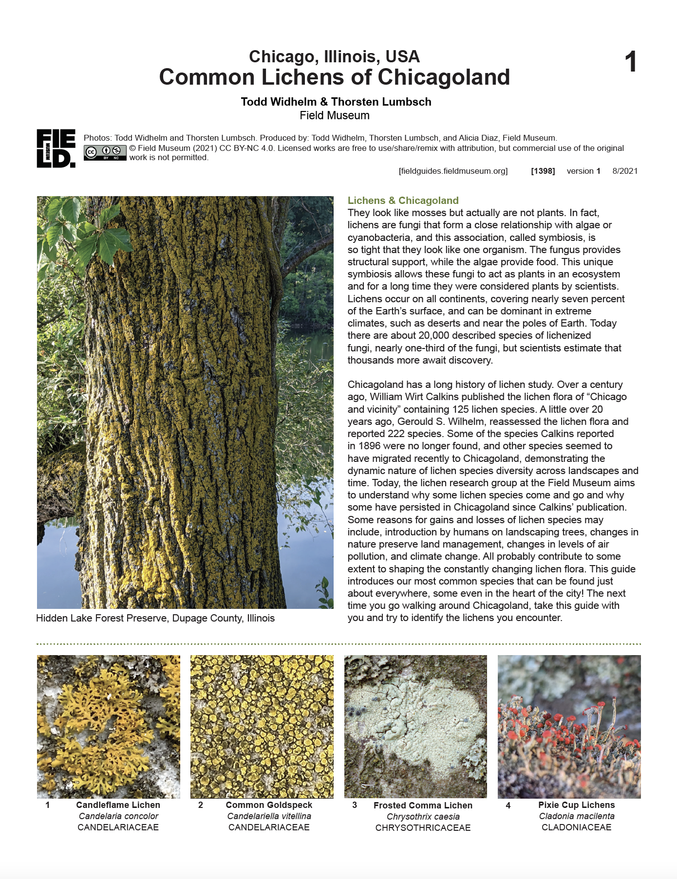 1398_usa_common_lichens_chicagoland.pdf