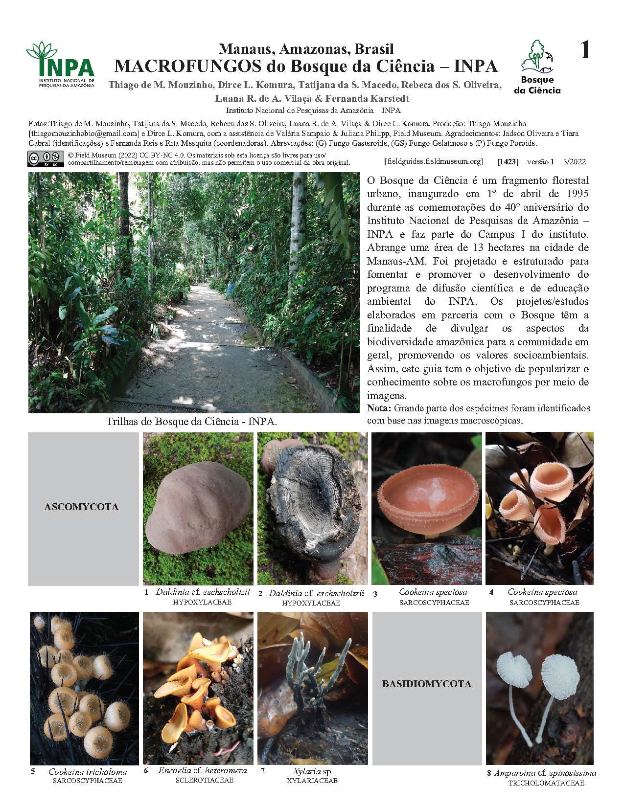 1423_brazil_macrofungi_of_bosque_da_ciencia.pdf 