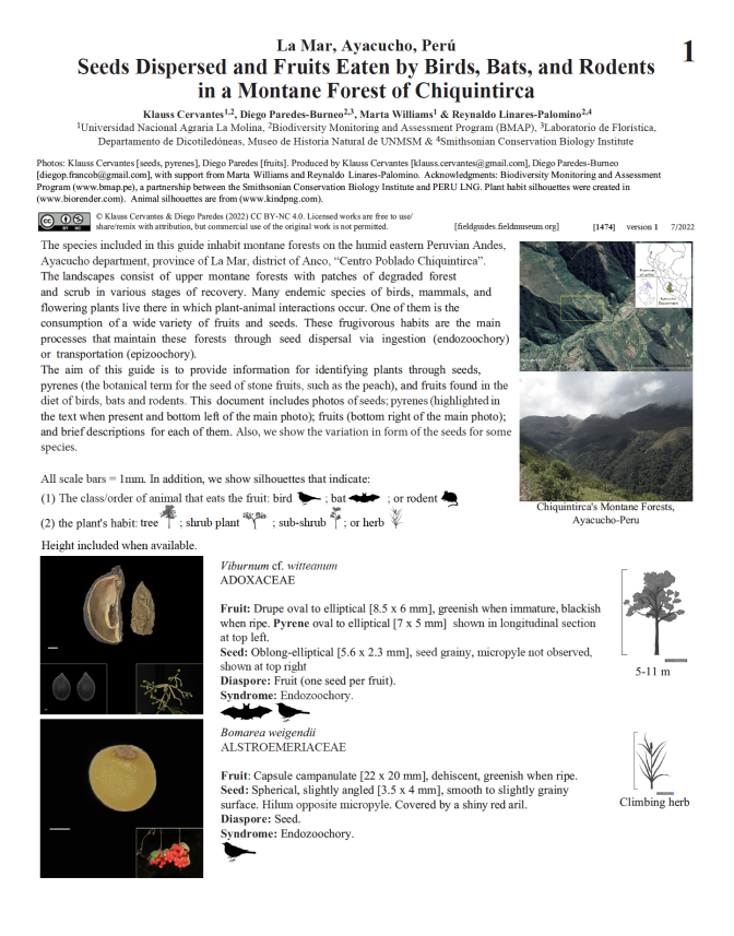 1474_peru_seeds_and_fruits_montaneforest_chiquintirca.pdf 