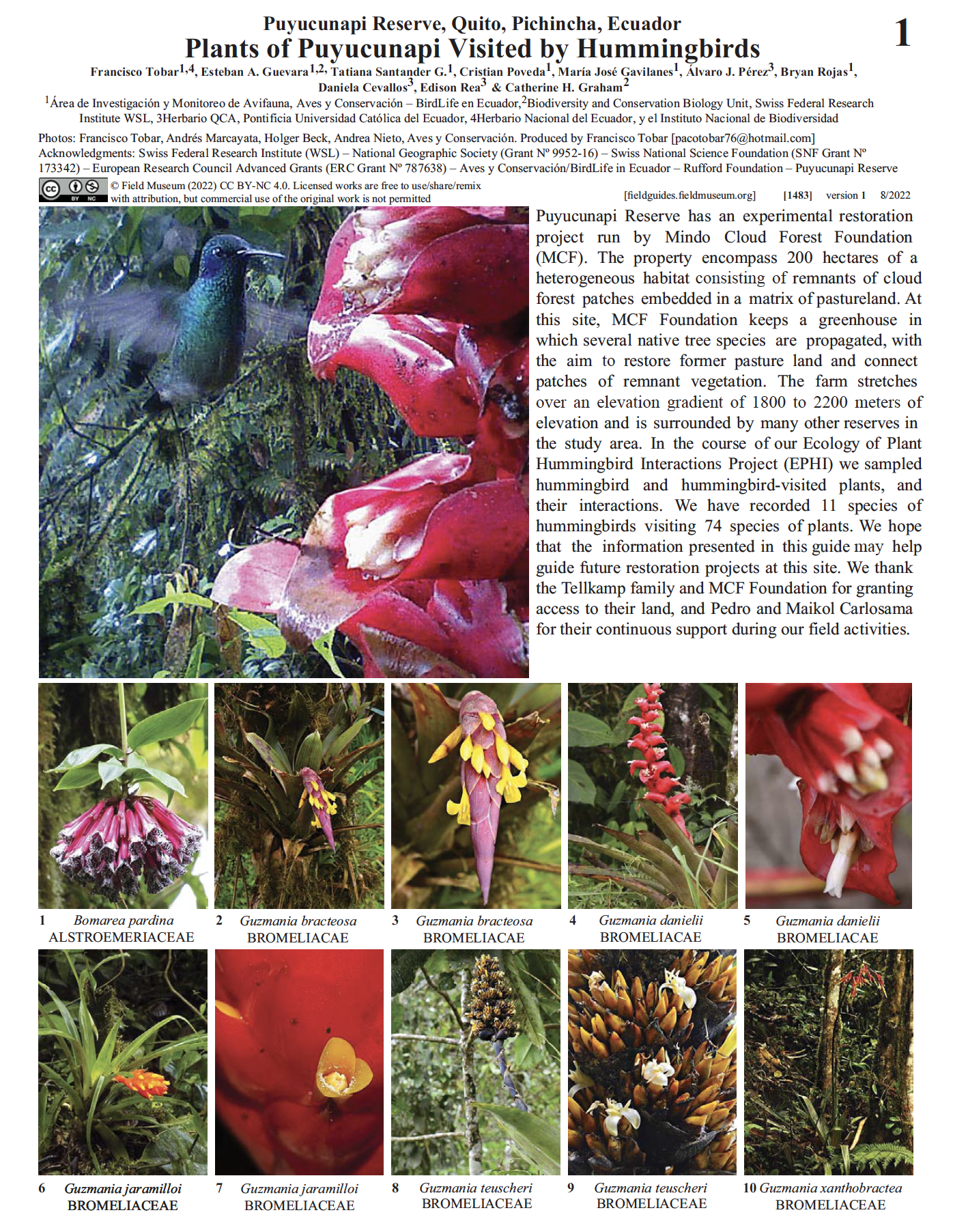 1483_ecuador_plants_puyucunapi_visitedbyhummingbirds.pdf