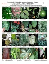 Sucumbíos -- Zabalo Cofán Useful Plants