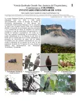 1024_colombia_birds_of_san_antonio_de_tequendama.pdf 