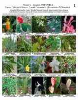  1073_colombia_useful_plants_of_el_manantial_reserve.pdf 