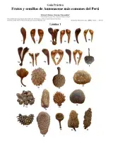 1083_peru_common_fruits_and_seeds_of_annonaceae.pdf 