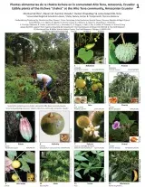  1113_ecuador_edible_plants_of_the_kichwa_chakra_kichwa_at_the_alto_tena_community.pdf 