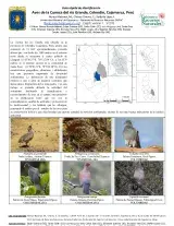 1117_peru_birds_of_the_rio_grande_basin.pdf 