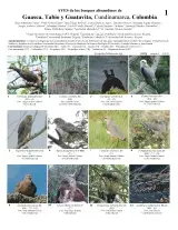 1119_colombia_birds_of_guasca_tabio_and_guatavita.pdf 