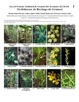 1140_brazil_orchidaceae_of_grumari.pdf 