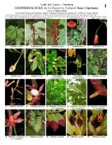 1155_colombia_gesneriaceae_of_san_cipriano_reserve.pdf 