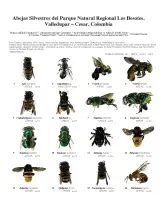 1157_colombia_bees_of_los_besotes_natural_park.pdf 