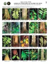 1159_peru_timber_trees_of_madre_de_dios.pdf 