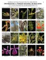 1160_brazil_orchidaceae_of_boa_nova_national_park.pdf 