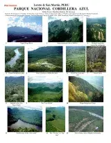 San Martín, Loreto -- Cordillera Azul Rare Plants & Landscapes