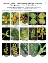 1188_brazil_malpighiaceae_of_costa_brava.pdf 