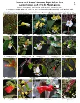 1193_gesneriaceae_of_the_serra_da_mantiqueira.pdf