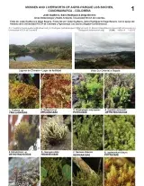 1219_colombia_mosses_and_liverworts_of_los_soles.pdf