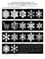 1231_usa_snowflakes.pdf 