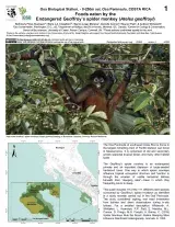 1245_costa_rica_spider_monkey_foods.pdf
