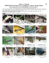 1254_colombia_reptiles_of_isla_palma.pdf