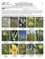 1292_illinois_orland_grassland_flora.pdf 