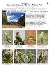 1298_bolivia_torotoro_macaws_parakeets.pdf 