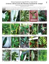 1304_brazil_aroids_araceae_of_the_amapa_national_forest_en.pdf 
