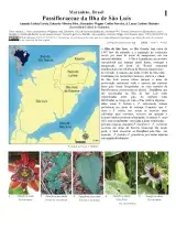 1312_brazil_passifloraceae_da_ilha_de_sao_luis.pdf