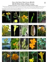 1333_brazil_bignoniaceae_of_mato_grosso.pdf 