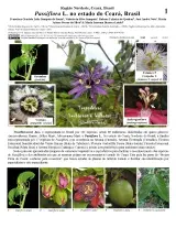 1346_brazil_passifloraceae_of_ceara_en.pdf 