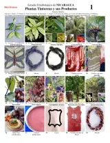 Dye Plants & their Products