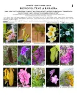 1366_brazil_bignoniaceae_of_paraiba.pdf 